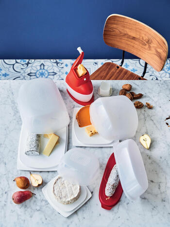 Tupperware Râpe du Chef zum Reiben von Käse