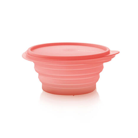 Tupperware Mini Max 700ml 