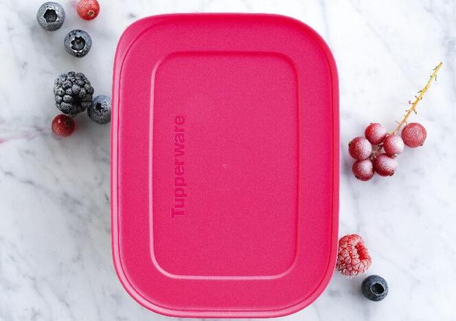 Tupperware Boîtes Congélation II 1.1L (2) 
