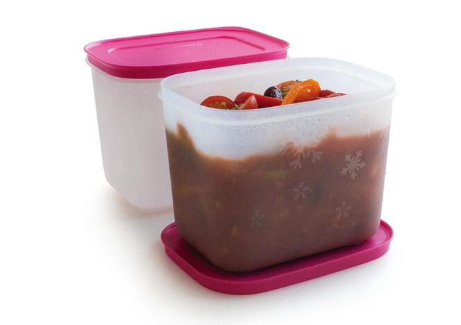 Tupperware Boîtes Congélation II 1.1L (2) 