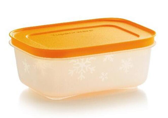 Tupperware Boîtes Congélation II 450ml (4) 