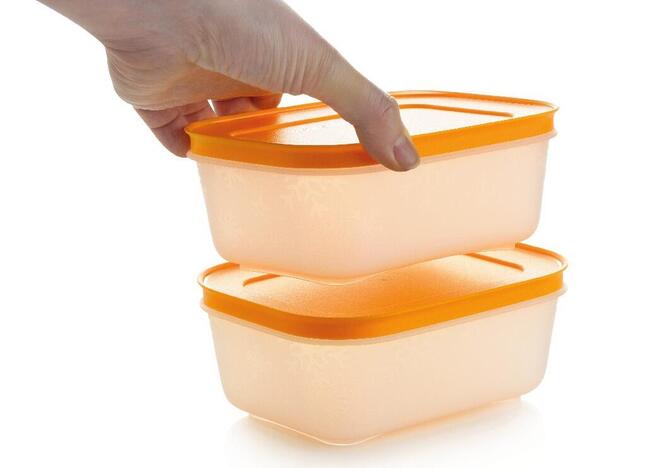 Tupperware Boîtes Congélation II 450ml (4) 