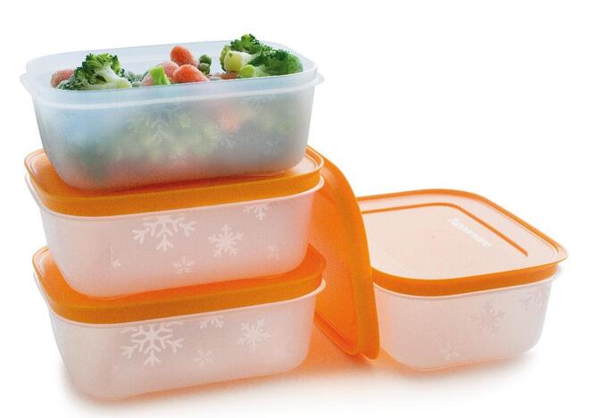Tupperware Boîtes Congélation II 450ml (4) 